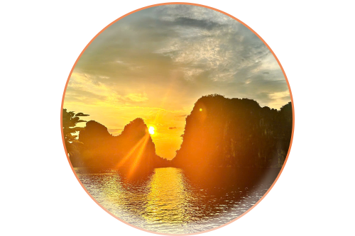 Mixed & Customized Packages